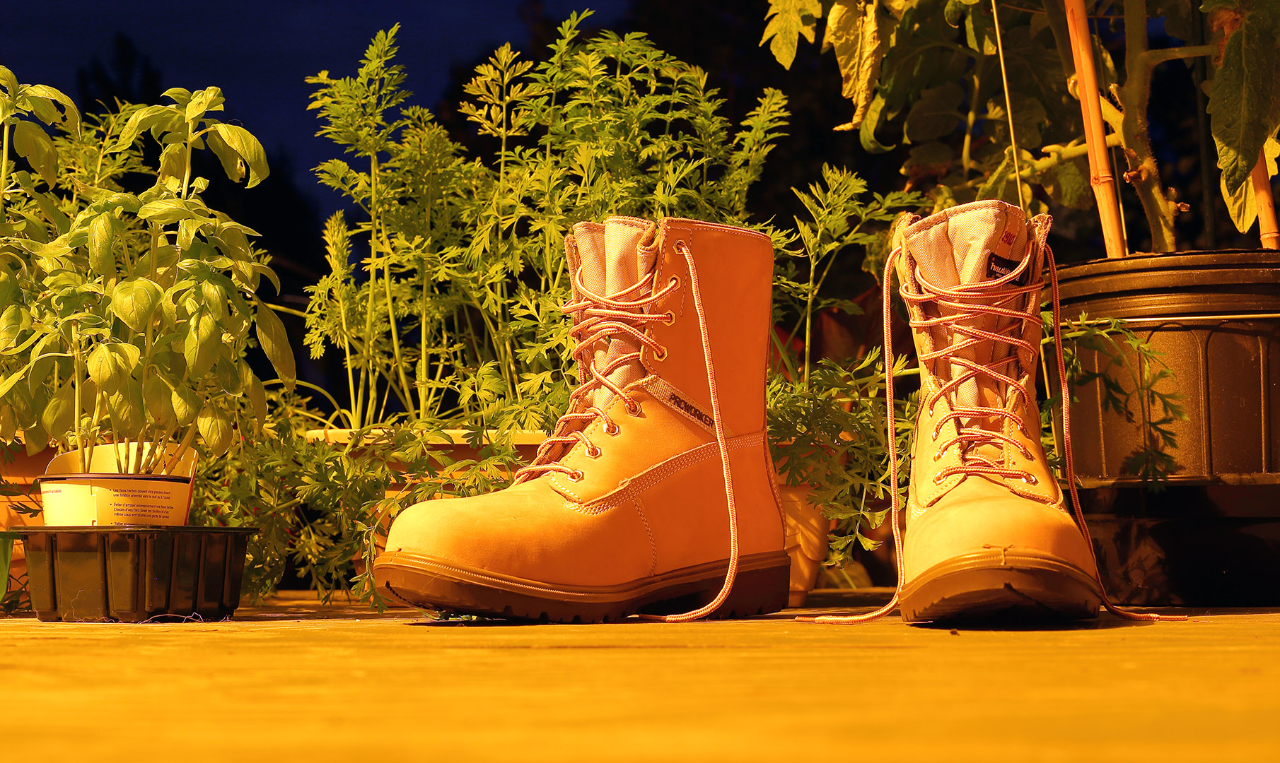 boots_kodiak_night