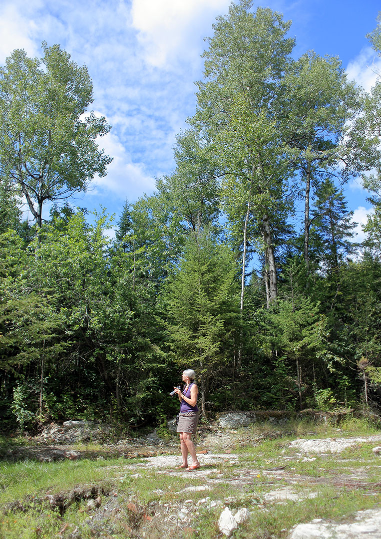 danie_foret_portrait