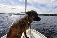 beryl_coque_bateau