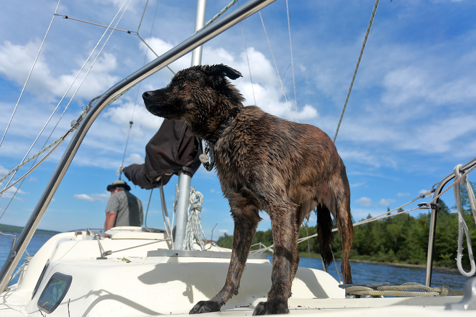 beryl_bateau_ross