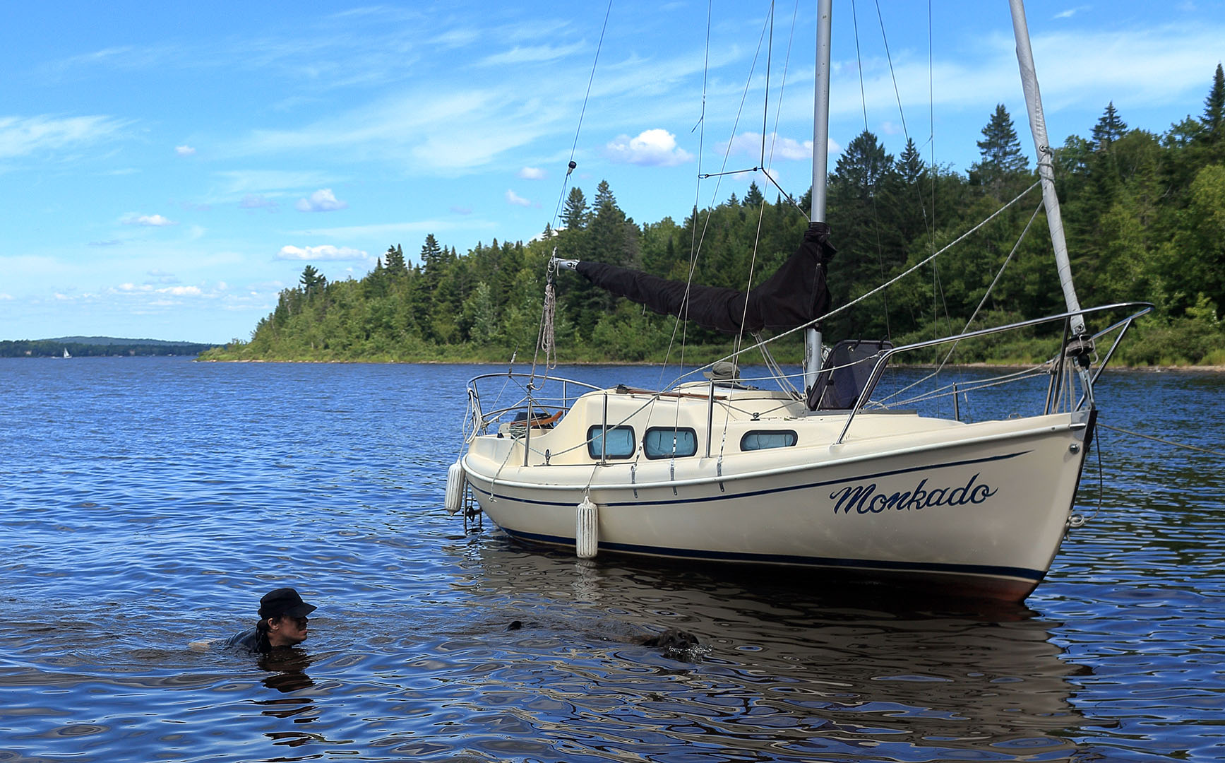elz_dog_boat