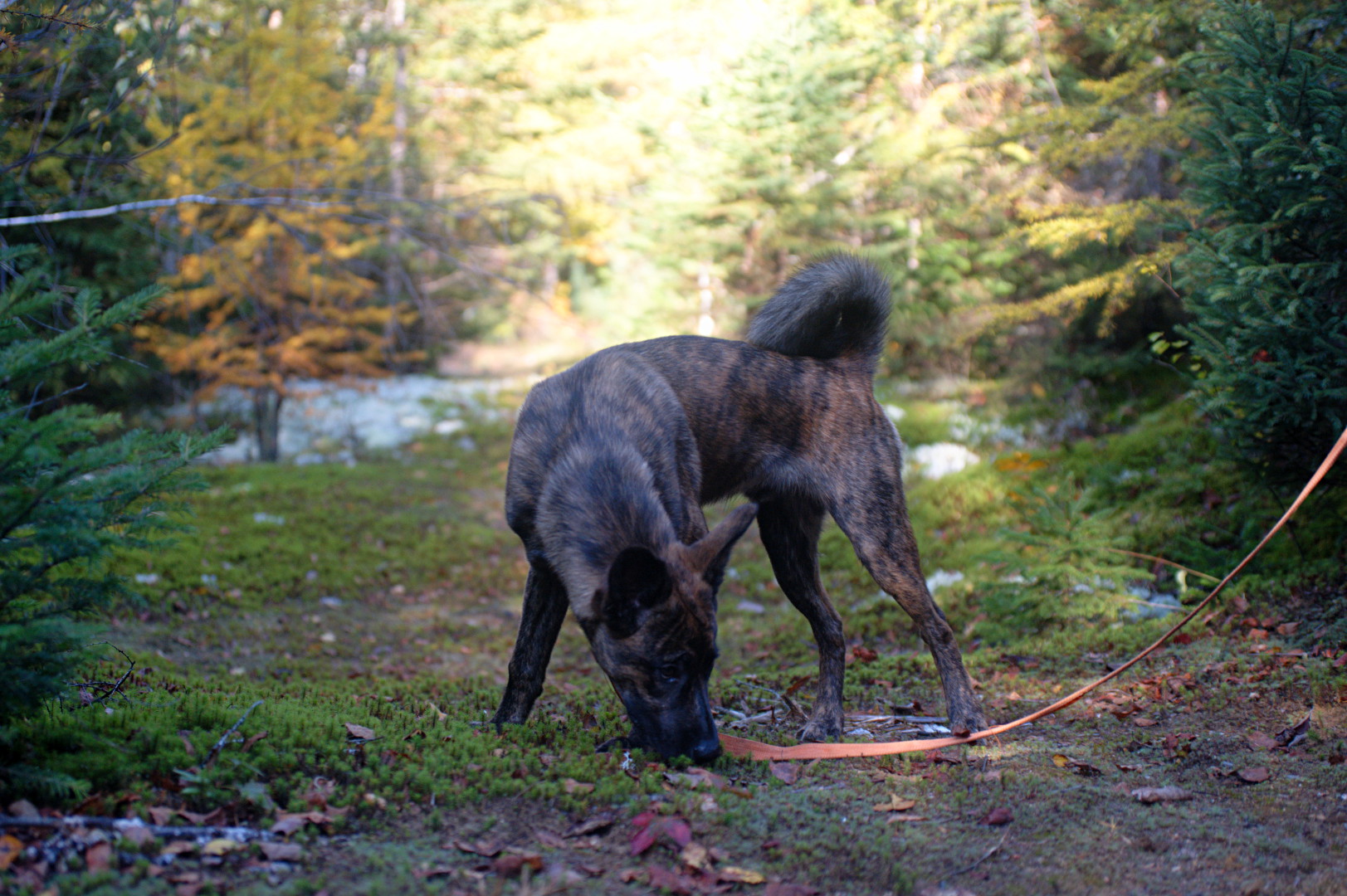 2015_10_12_lac_Frippon_6