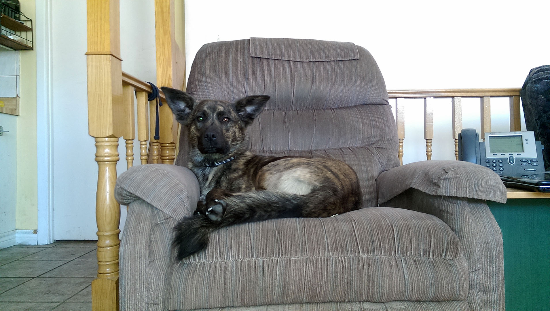 Beryl_chairman