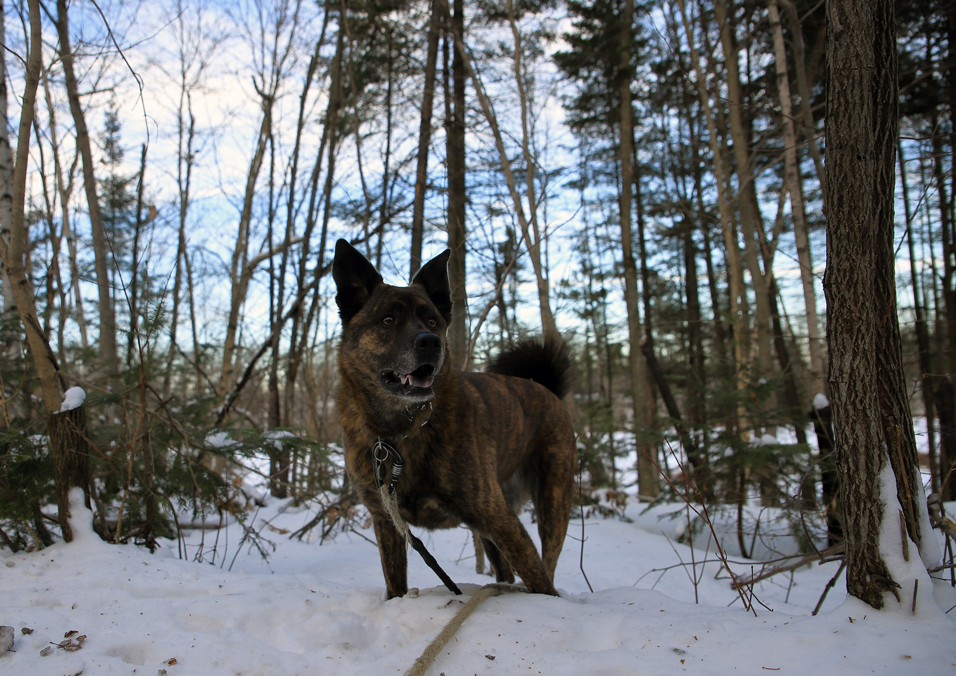 Beryl_promenade_hiver_lac_fripon_1