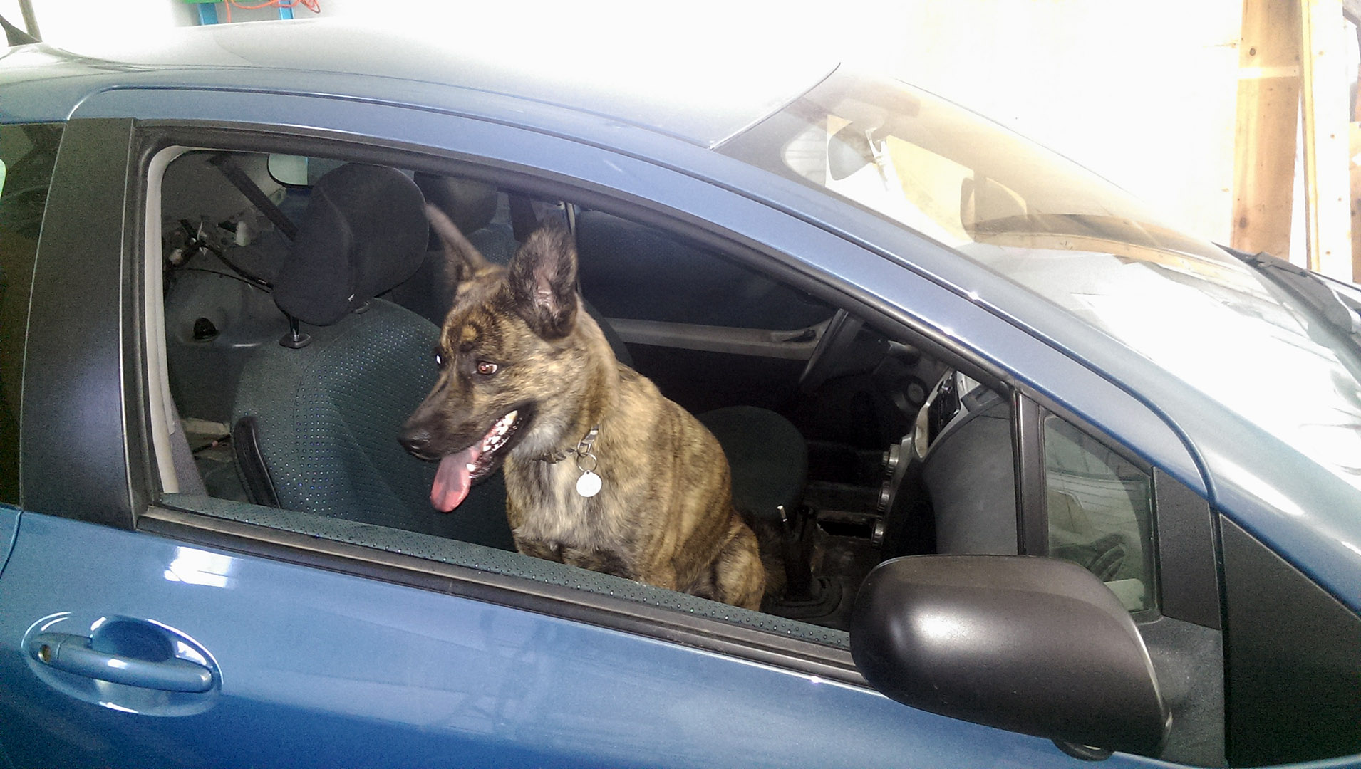 Beryl_ready_to_go