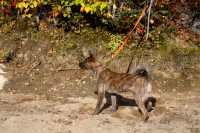 2015_10_12_lac_Frippon_4