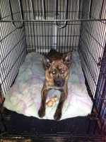Beryl_Cage