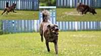 Beryl_Fetch