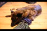 Beryl_Pantouffle