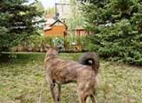 Beryl_and_the_Hen