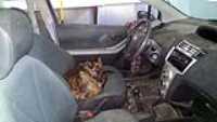 Beryl_conducteur