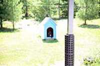 Beryl_doghouse