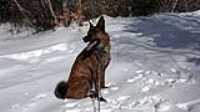 Beryl_frozen_lake_adventure_portrait