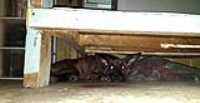 Beryl_niche_atelier_sous-sol