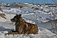 bery_hdr_85_shallow_dof_sabliere