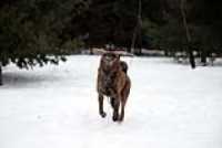 beryl_6dmk2_snow_shoot_4