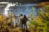 beryl_contre-jour_flap_water