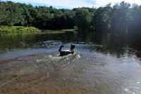 beryl_day_2_swim