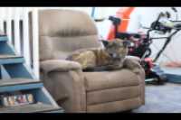 beryl_garage_couch