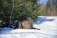 beryl_gps_spot_camping