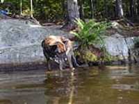beryl_lac_aqueduc