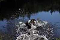 beryl_lake_fripon_jump_into