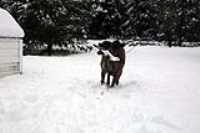 beryl_neige_stick