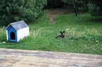 beryl_niche_cours_arriere