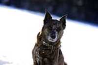 beryl_portrait_angle