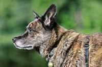 beryl_portrait_profil_etang_matin