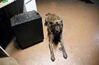 beryl_subwoofer