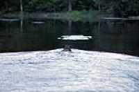 beryl_water_fetch