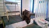 mezzanine_Beryl_supervisor