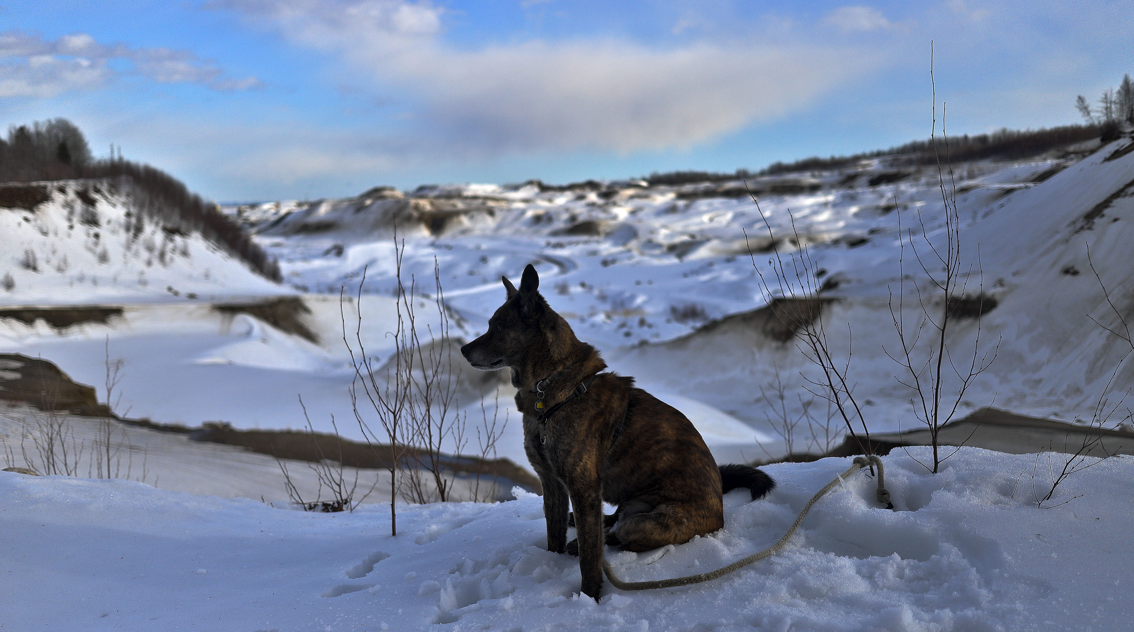 bery_hdr_40_shallow_dof_sabliere