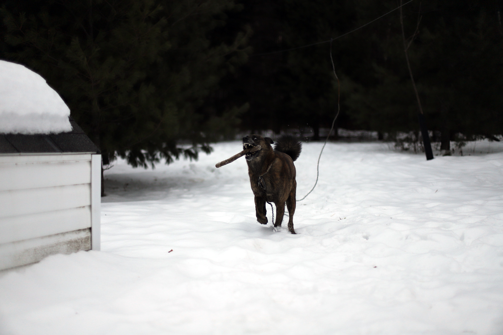 beryl_6dmk2_snow_shoot_2