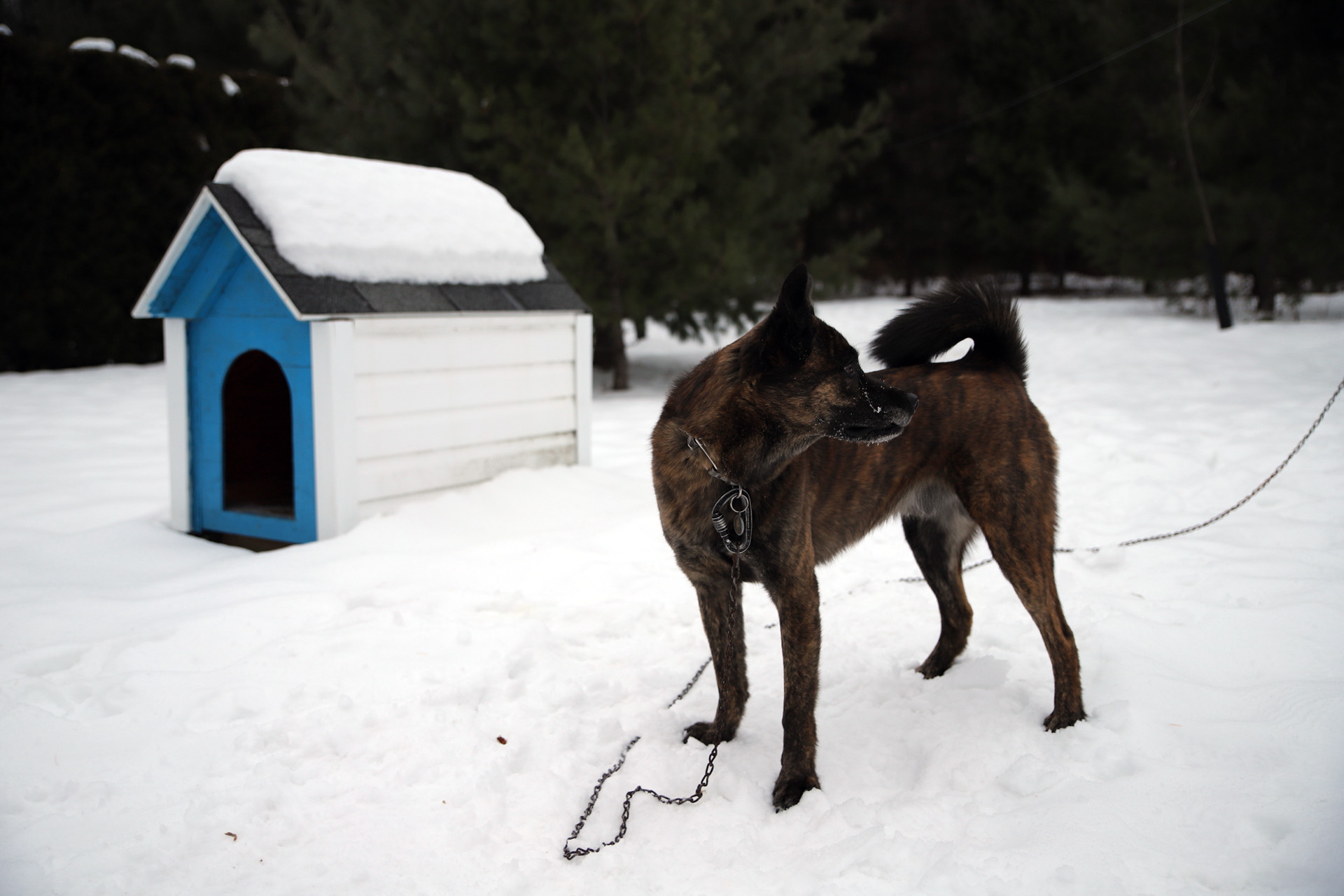 beryl_6dmk2_snow_shoot_3
