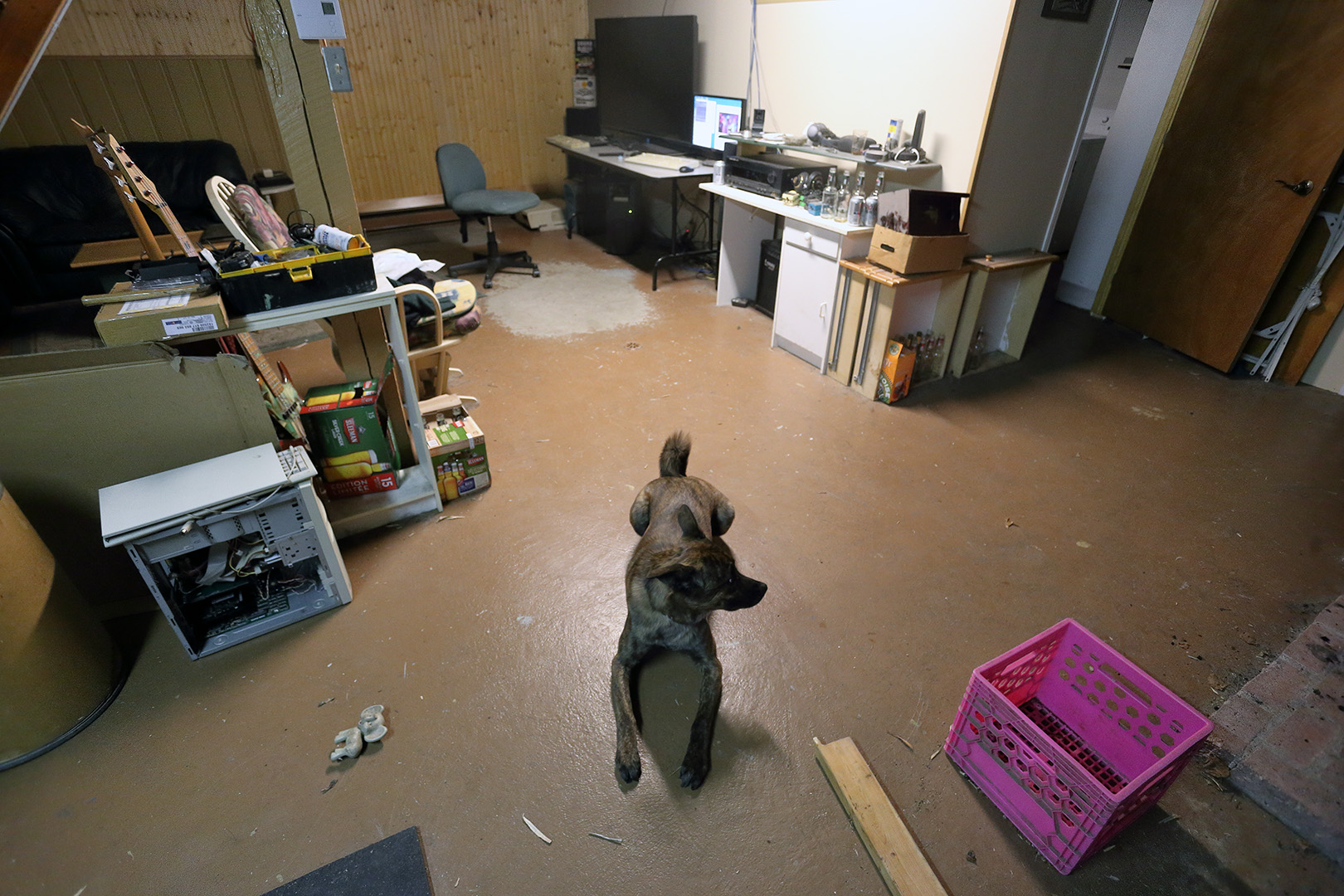 beryl_basement