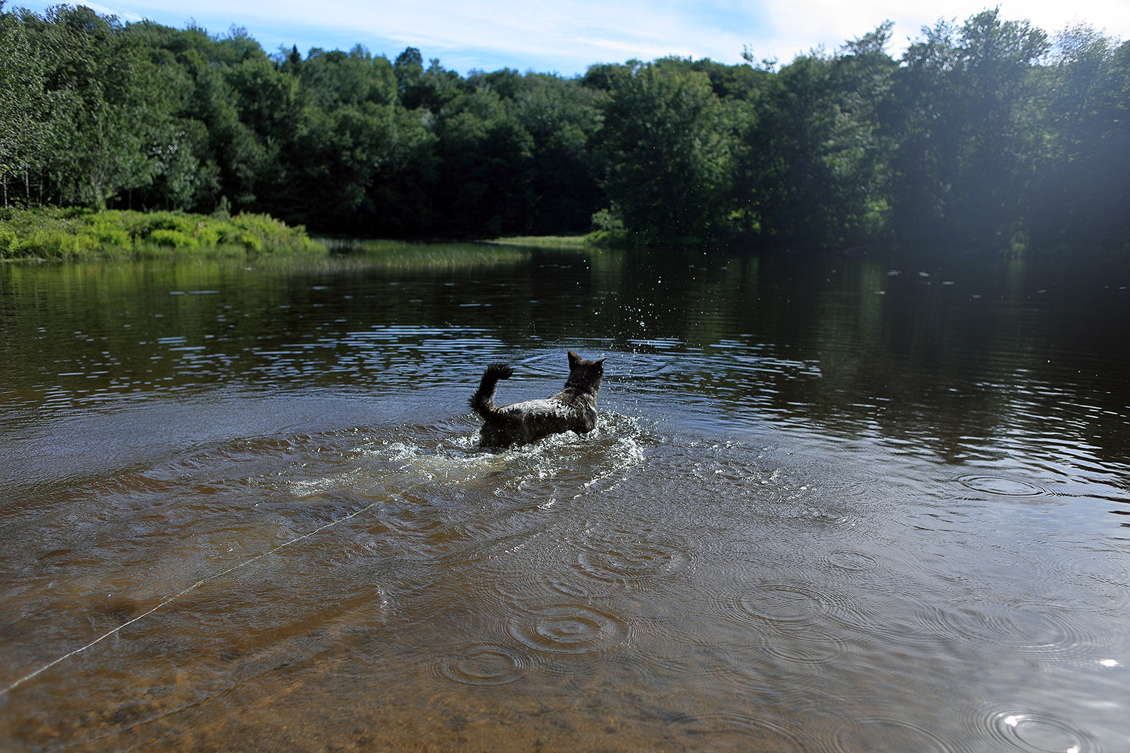 beryl_day_2_swim