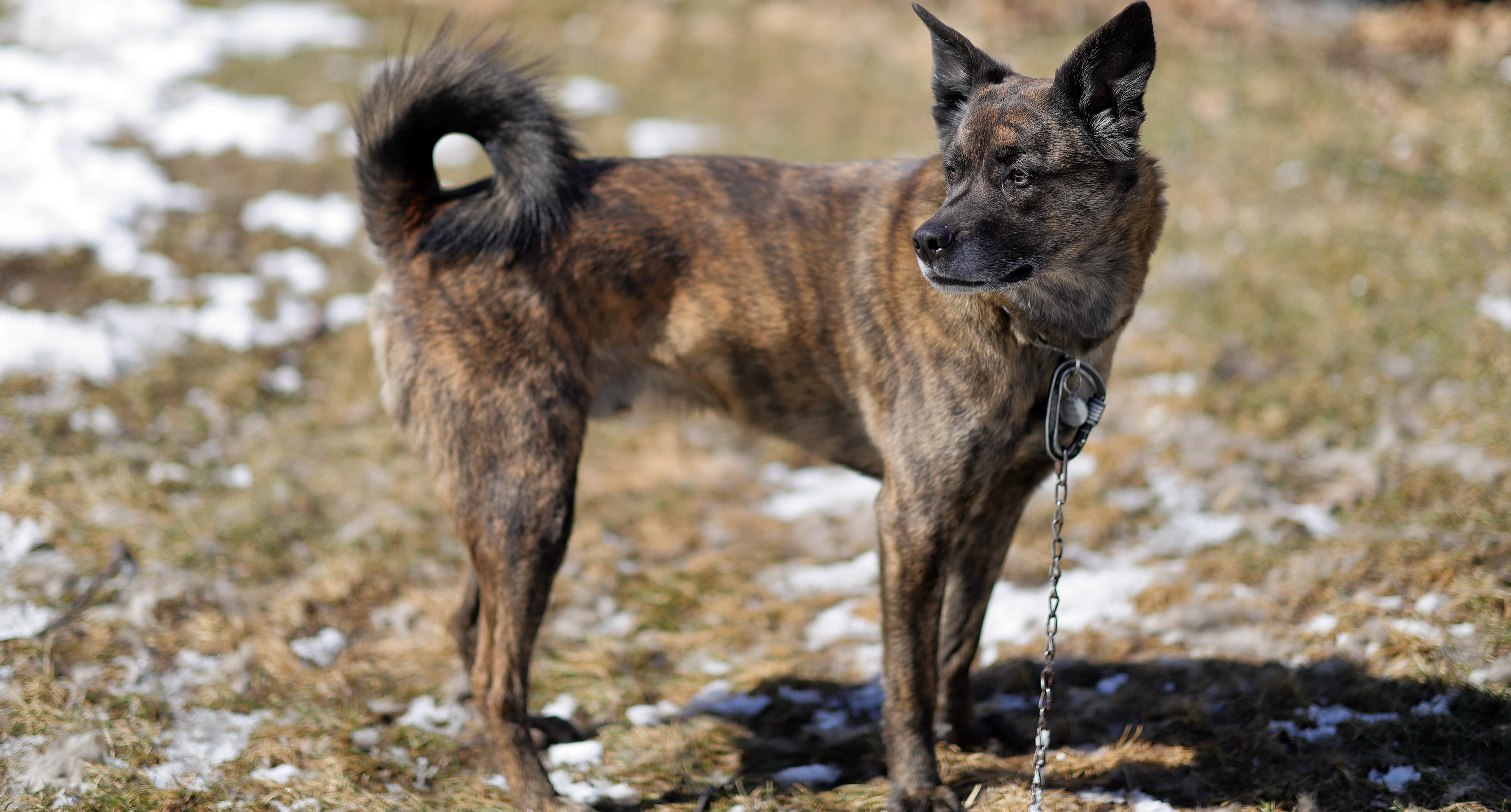 beryl_focus_ton_dof