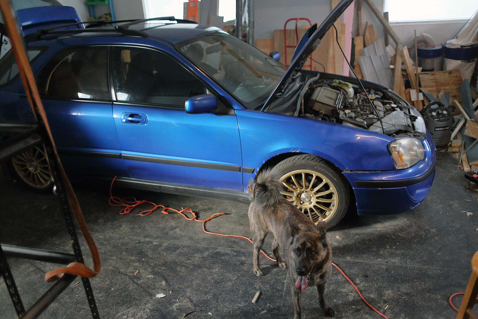 beryl_garagist