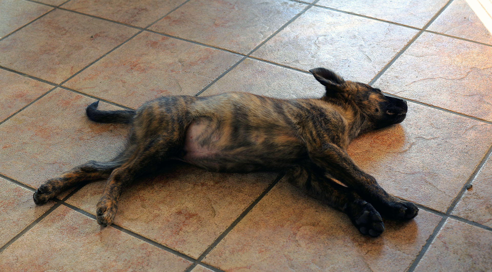 beryl_kitchen_floor_3months_birthday