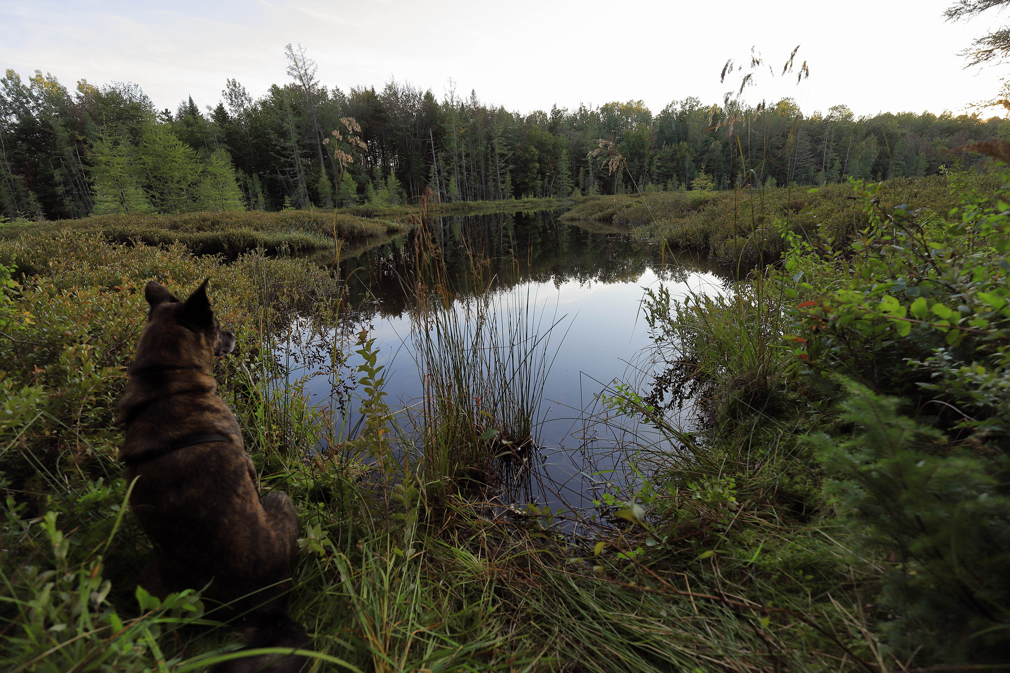 beryl_lac_fripon_sundown