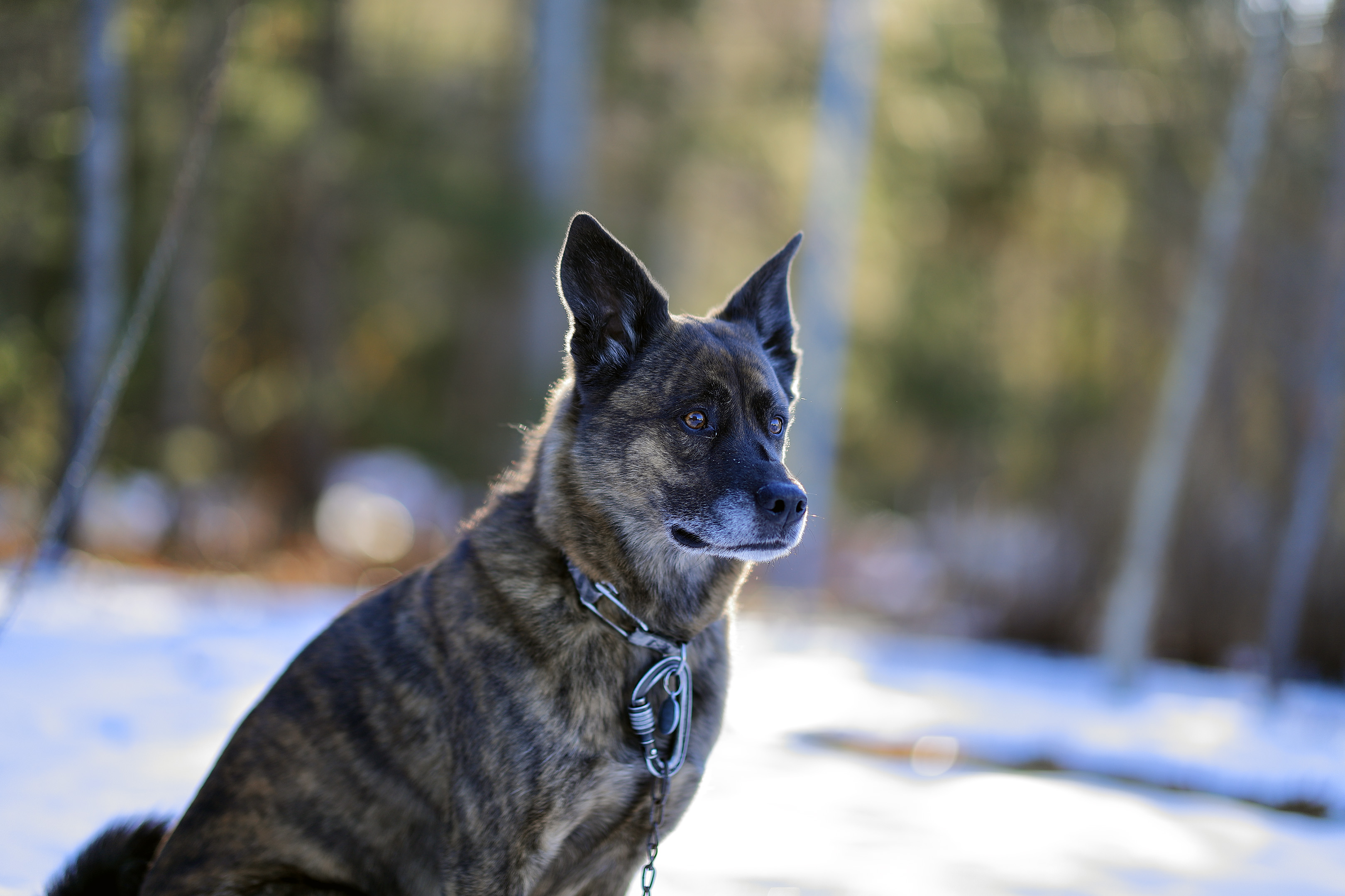 beryl_neige_portrait_85mm