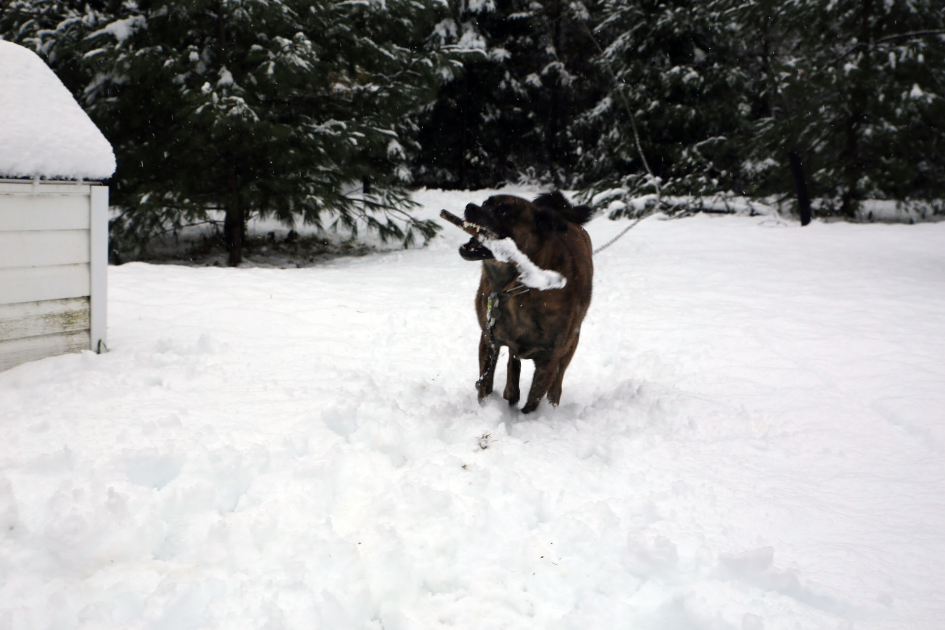 beryl_neige_stick