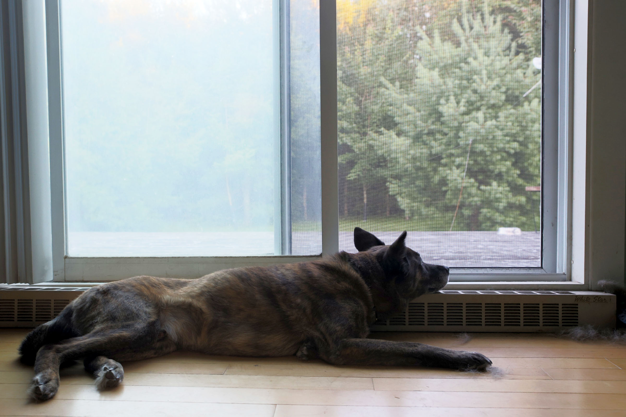 beryl_patio_door_lay