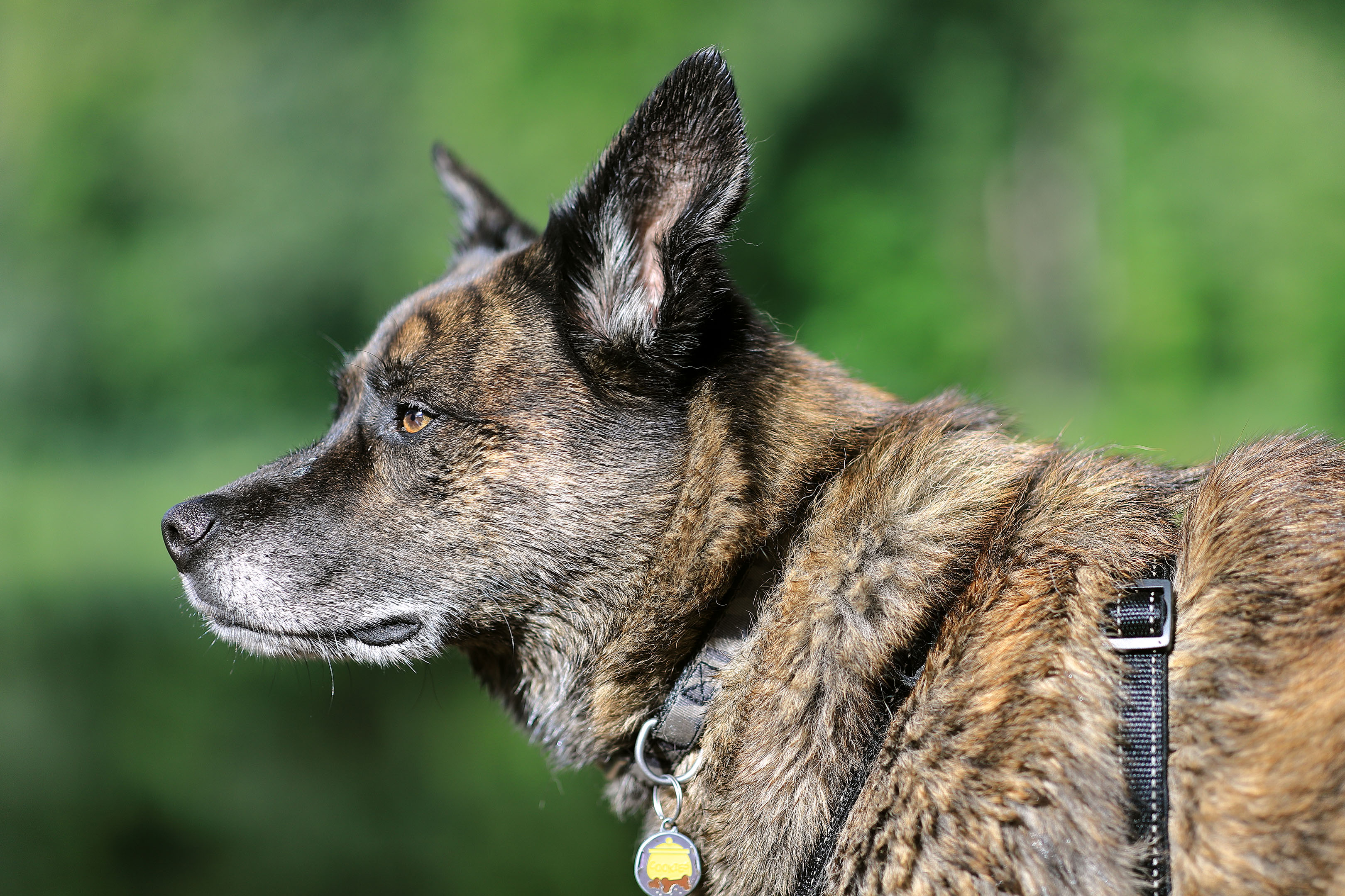 beryl_portrait_profil_etang_matin