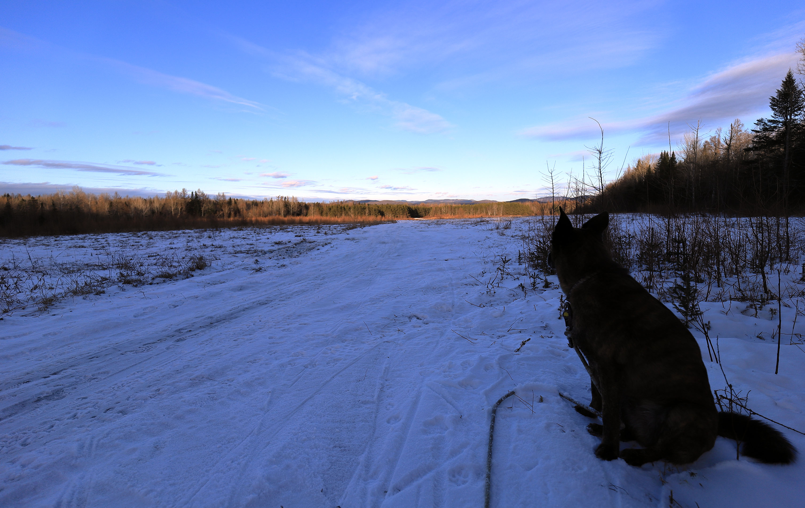 beryl_promenade_xmas2020_1