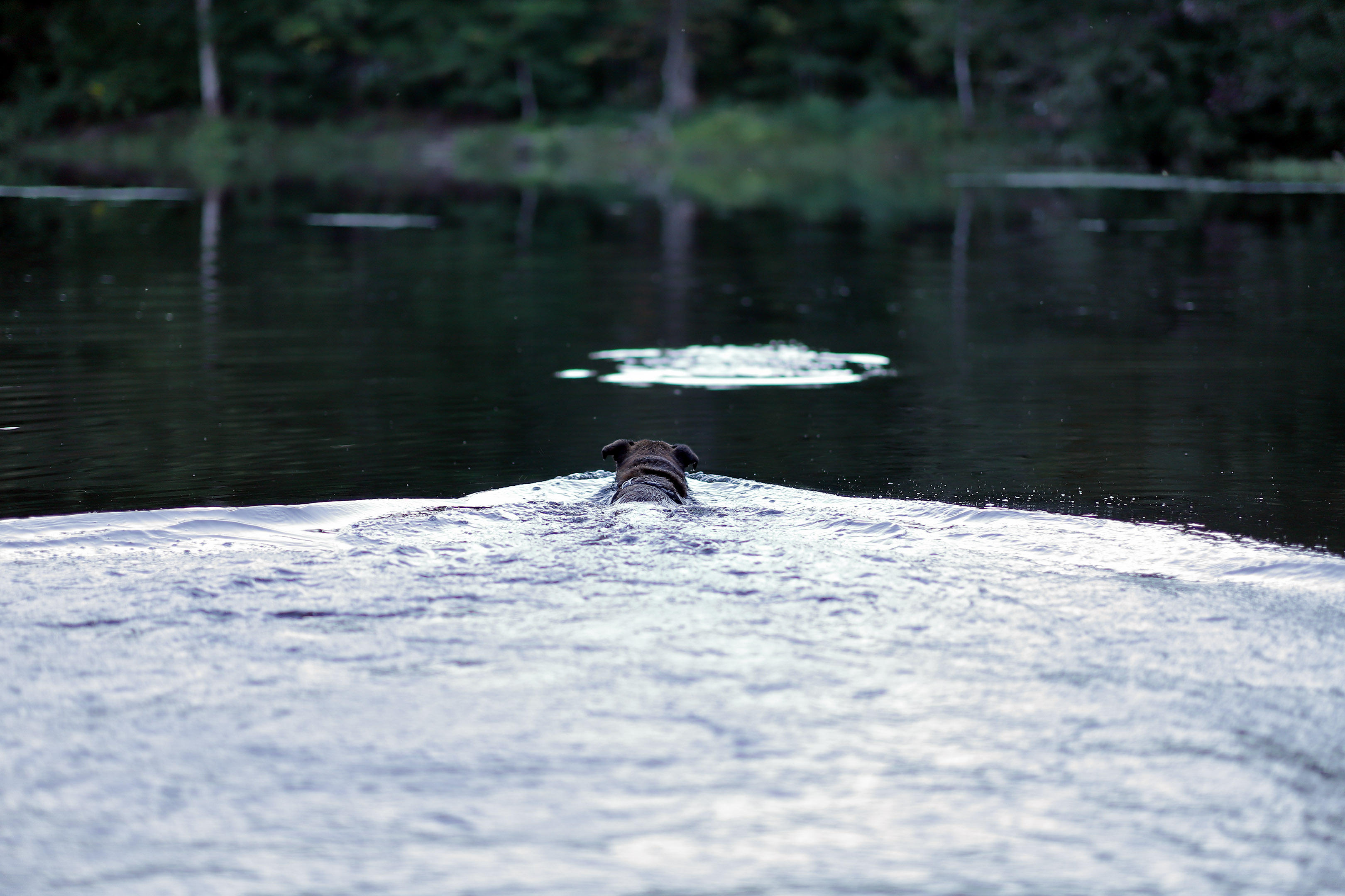 beryl_water_fetch
