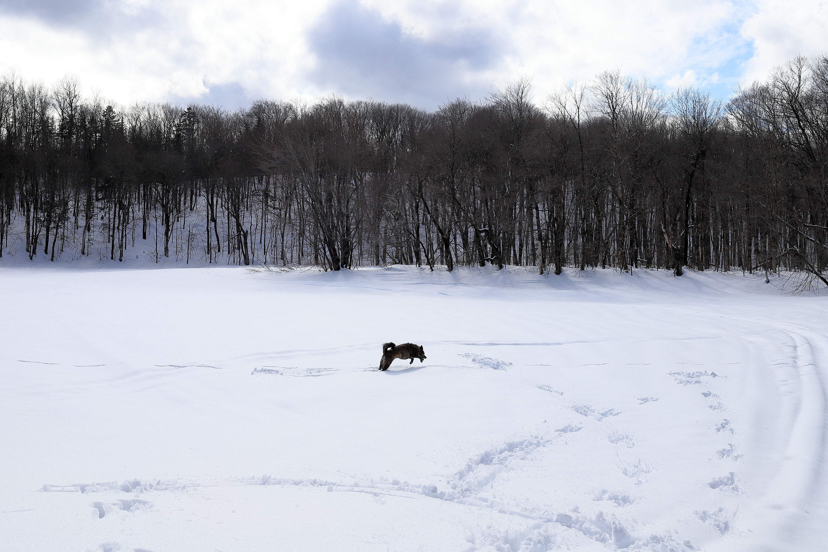 etang_geler_grand_angle_neige_beryl