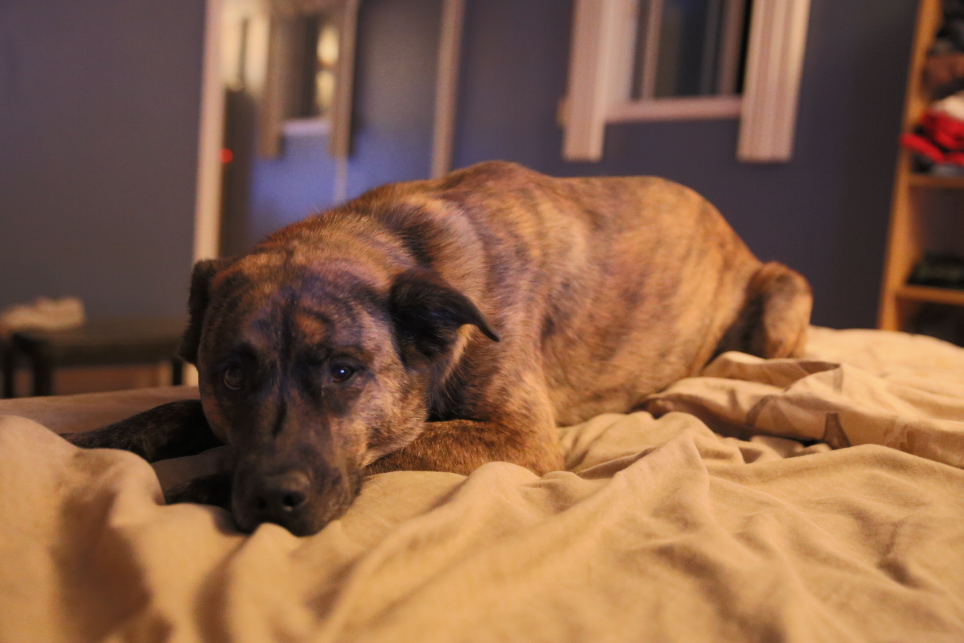 hdr_test_Beryl